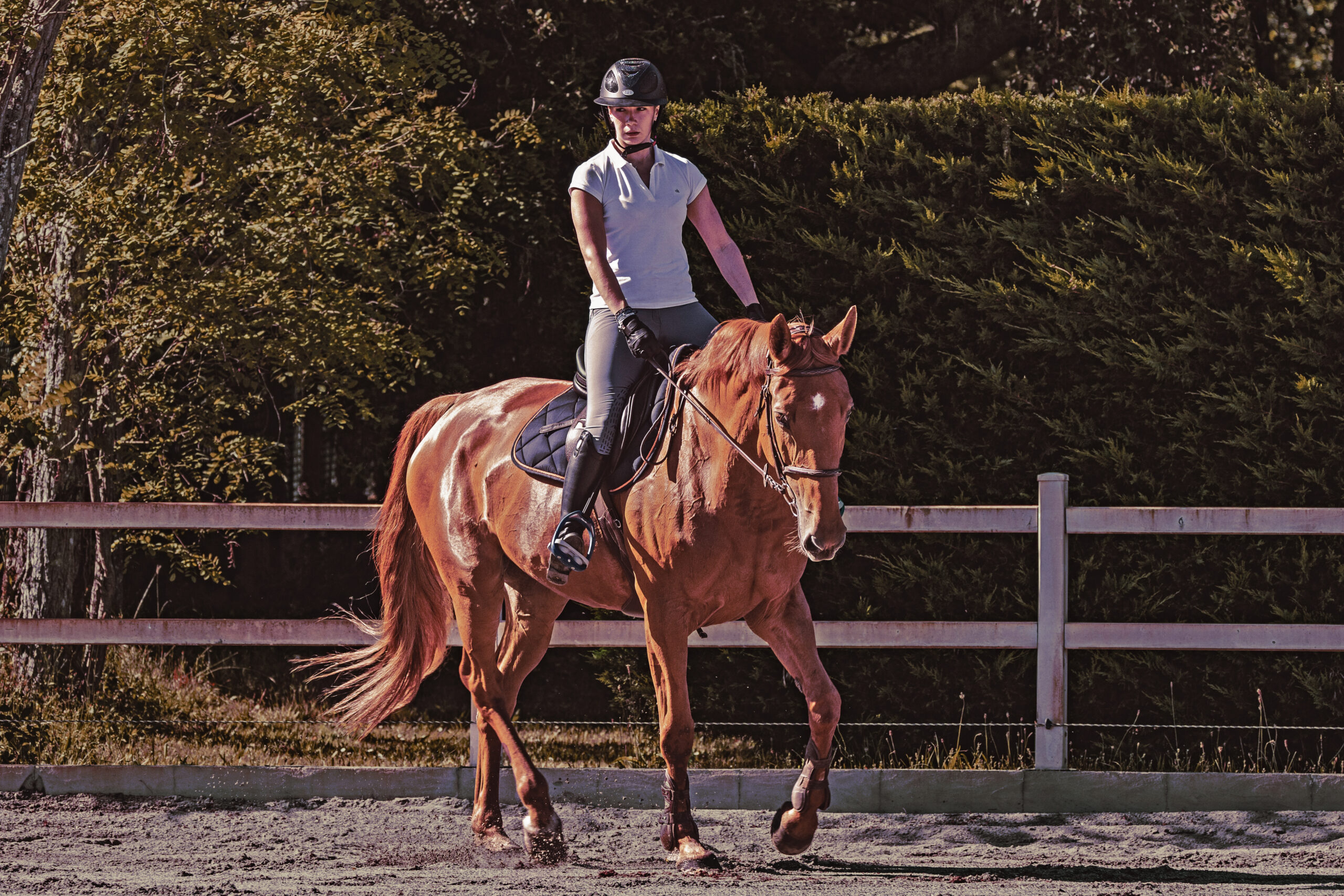 Cavalière et cheval sautant un oxer
