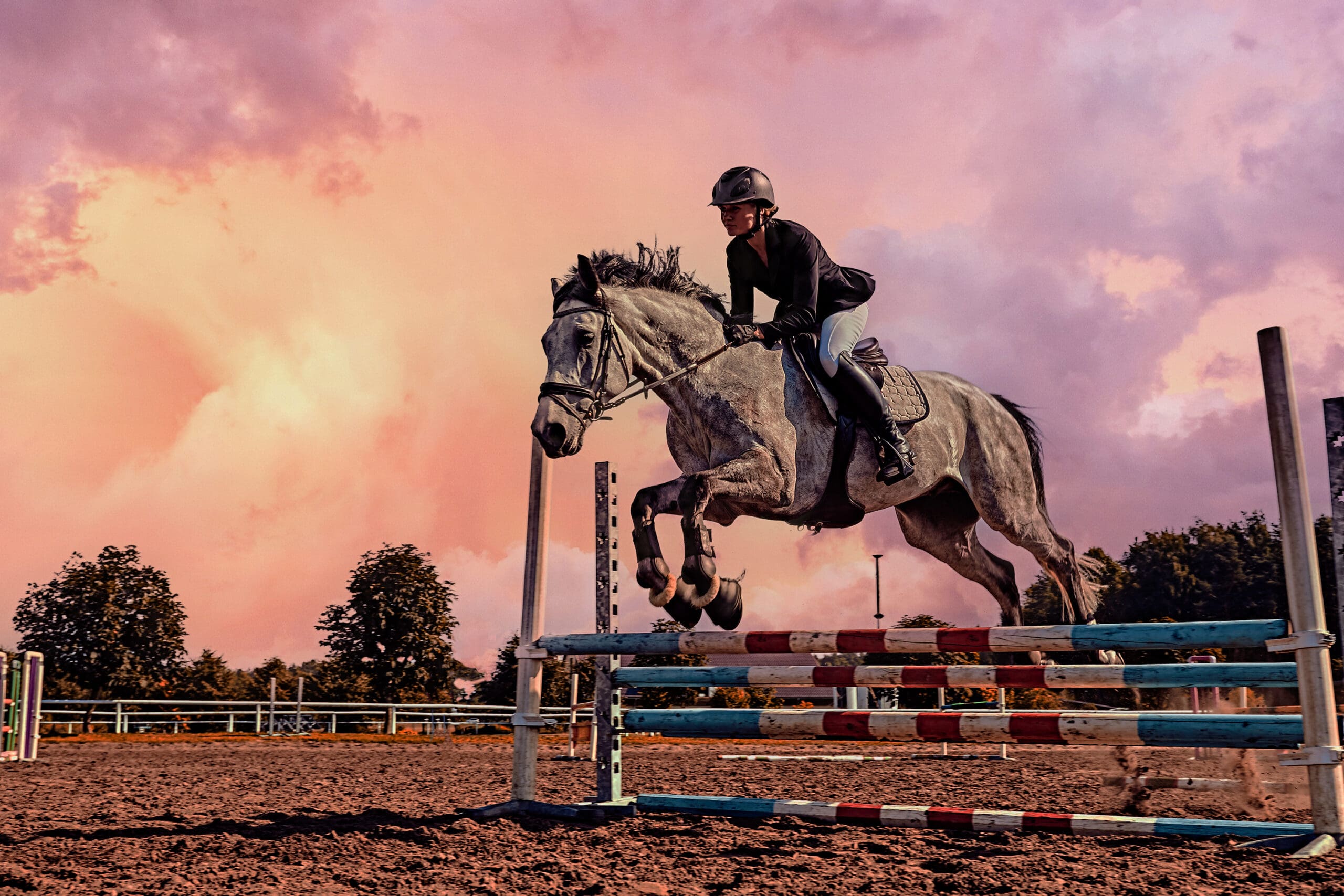 Cavalière et cheval sautant un oxer