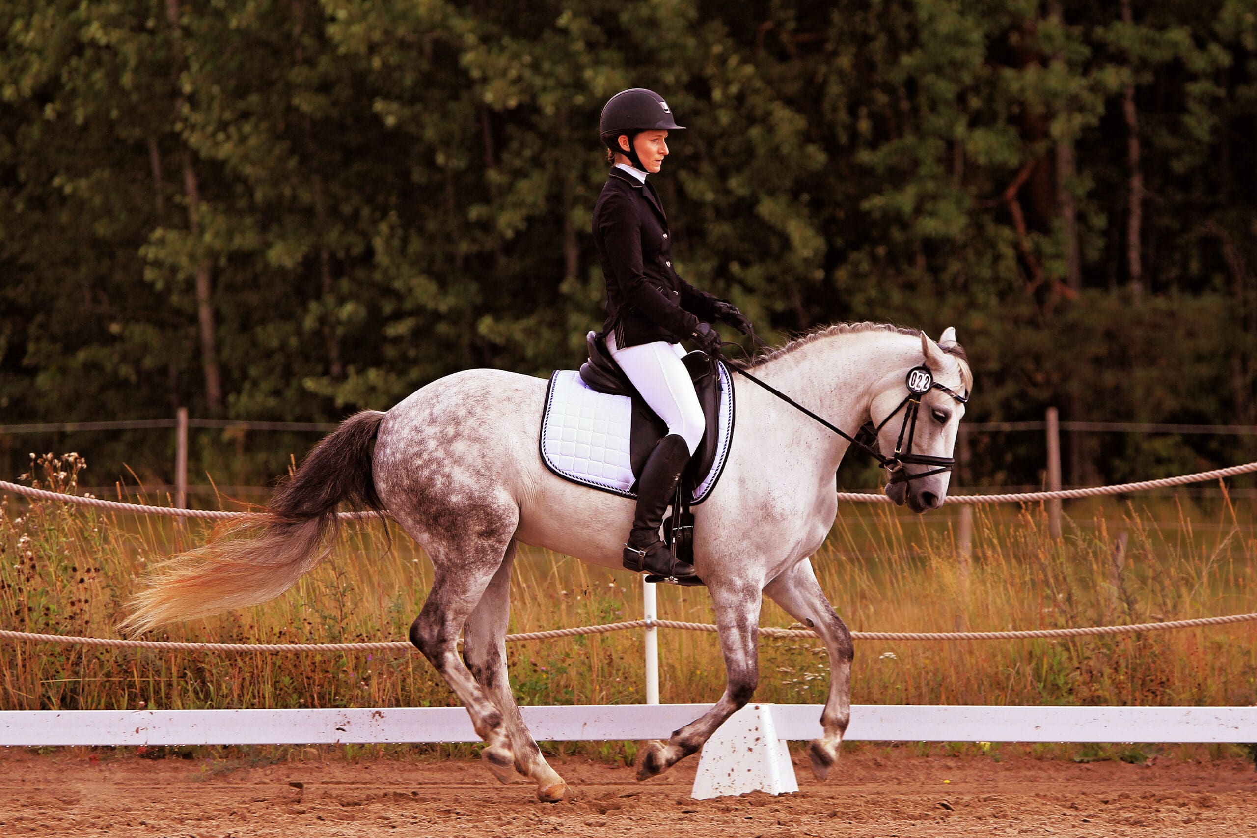 Cavalière et cheval sautant un oxer